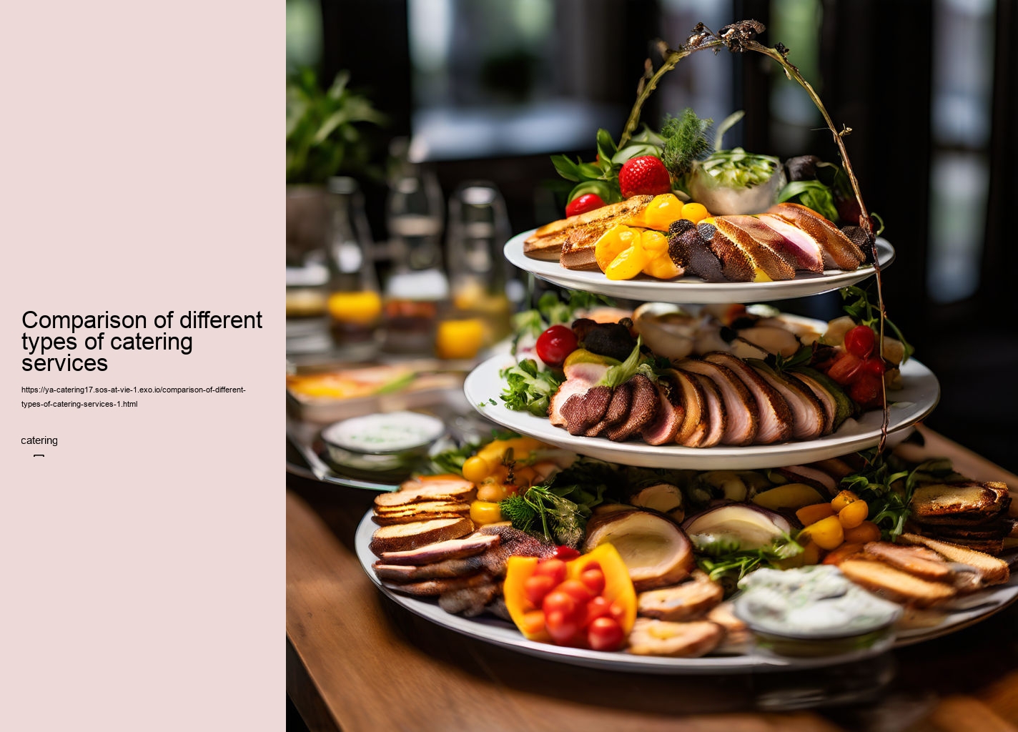 Comparison of different types of catering services